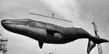 Le ultime (speriamo..) codate della balena catto-comunista