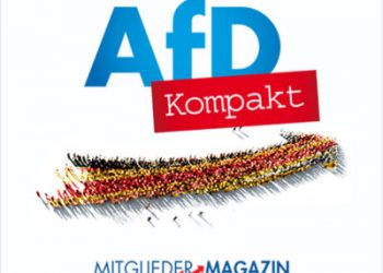 Turingia: vittoria per AfD e nuove grane per la Cdu