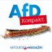 Turingia: vittoria per AfD e nuove grane per la Cdu