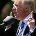 Alcune scomode verità sui tagli di Trump