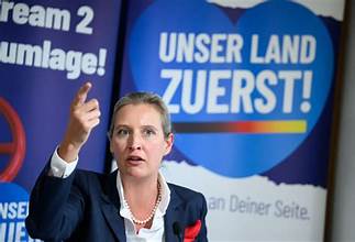 Democrazia alla tedesca. Afd fuorilegge?