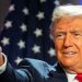 The Donald, incollocabile e spiazzante