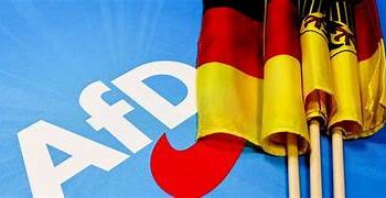 Germania/ Anche in Renania-Palatinato AfD vola alto