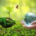 Perchè i conservatori non possono non essere ambientalisti