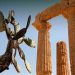 Percorsi mediterranei. Filosofia, civiltà, identità