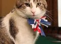 Downing Street/ I premier passano, Larry the Cat sorride, miagola e saluta